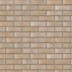 ibstock tradesman light face brick