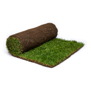 rolawn medallion turf 1m² roll 1640 x 610mm