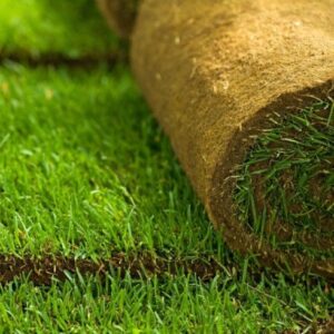 rolawn medallion turf 1m² roll 1640 x 610mm (copy)