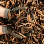 rolawn landscaping bark 500 litres / 0.5m3