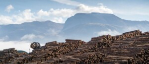 high grade scandinavian timber