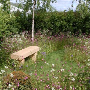 wildflower turf landscape 34 0.64m² roll 1000 x 640mm