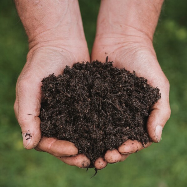 compost